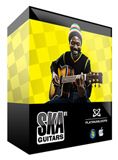 Reggae Guitar Loops