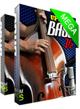 Upright Double Bass Mega Pack