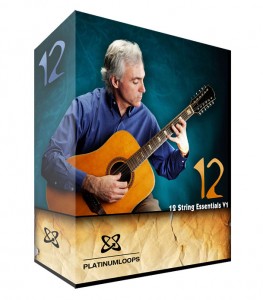12 String Acoustic Guitar Samples