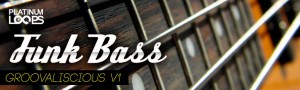 Funk Bass Loops - Groovaliscious v1