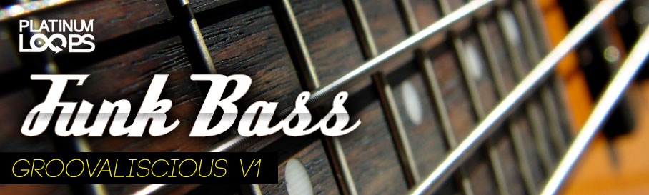 Funk Bass Loops - Groovaliscious v1